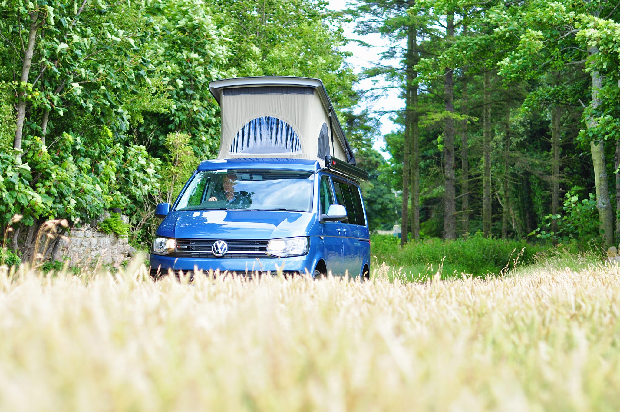 Blue VW camper parked in a Scottish forest. Blue VW camper parked in a Scottish forest.