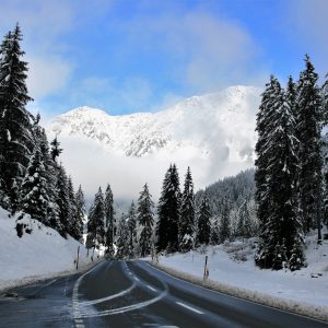 the-cold-season