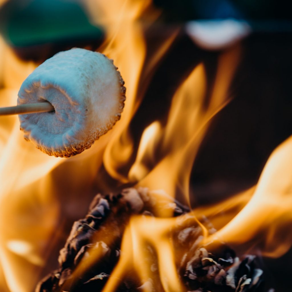 toasting-marshmallows