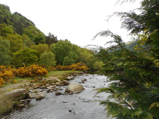 camping in ireland