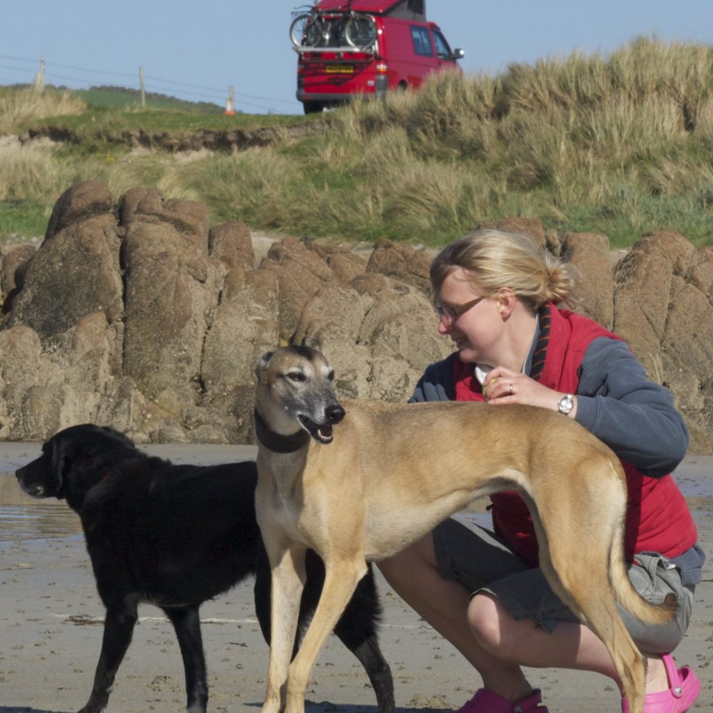 dogs on beach with owner