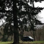 A Green 2017 VW Transporter T6 Campervan SWB Jerba Tiree Layout, 76,500 Miles.